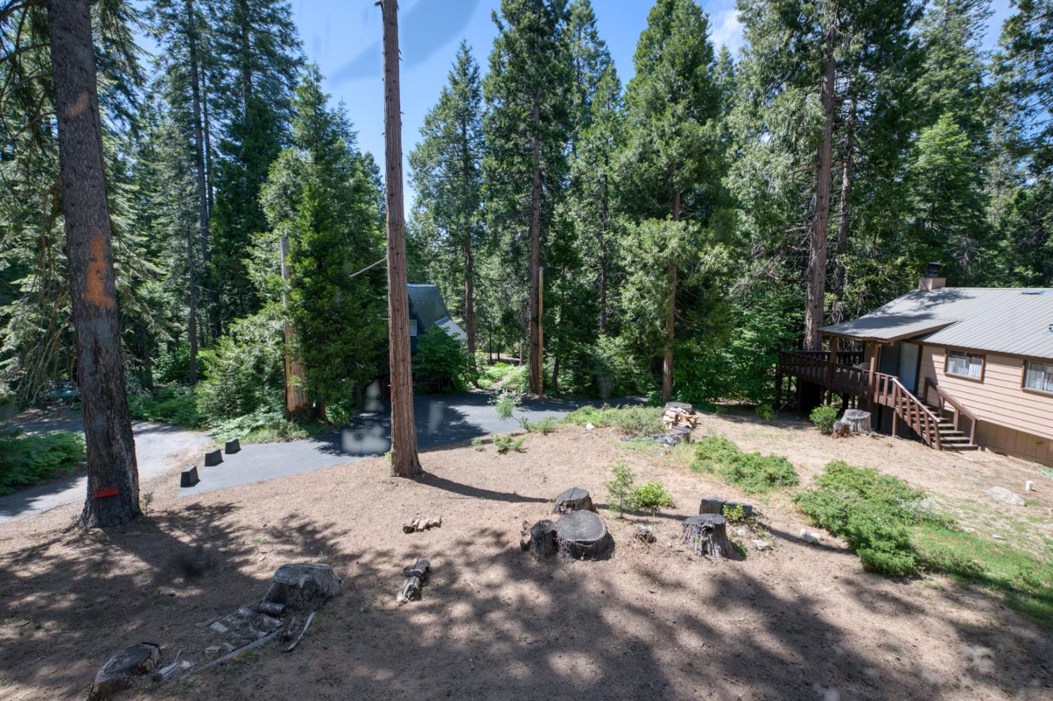 42312 Hanging Branch Road, Shaver Lake, CA 93664