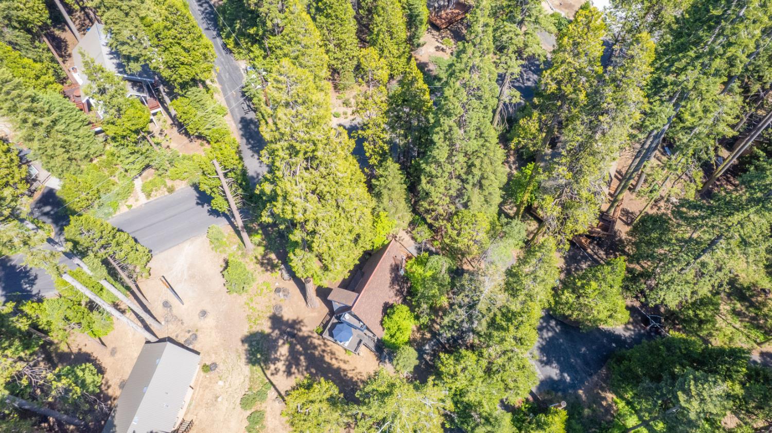 42312 Hanging Branch Road, Shaver Lake, CA 93664