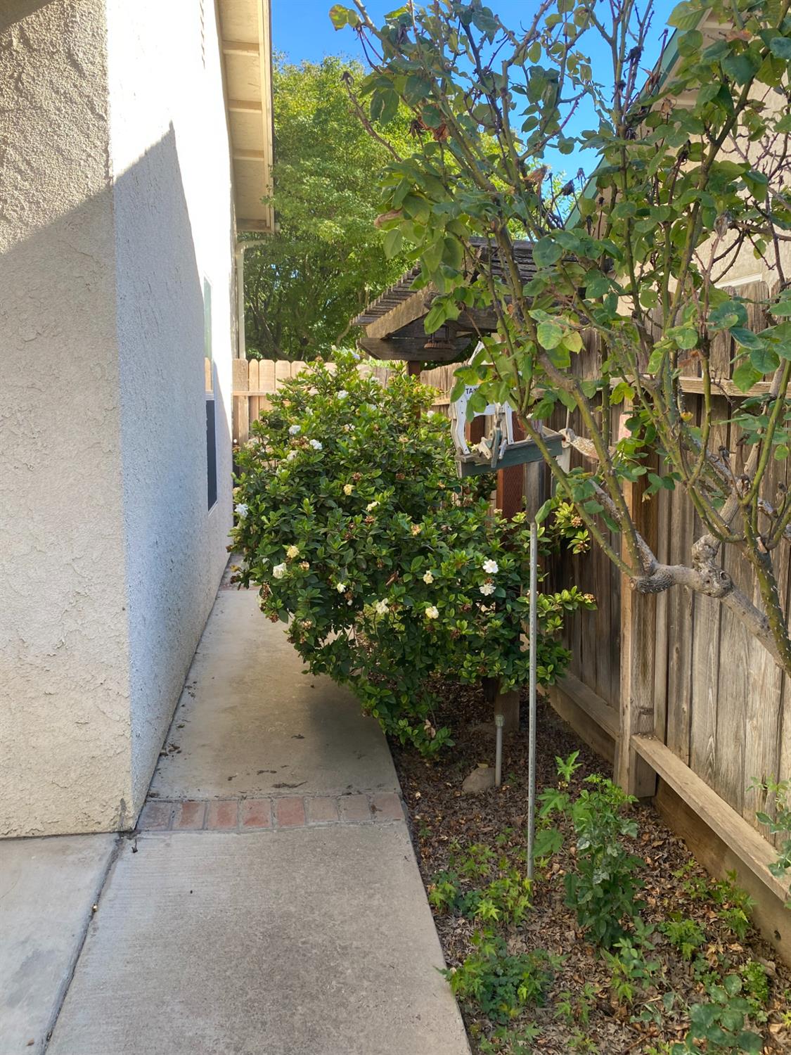 609 Merlot Ave, Madera, CA 93637