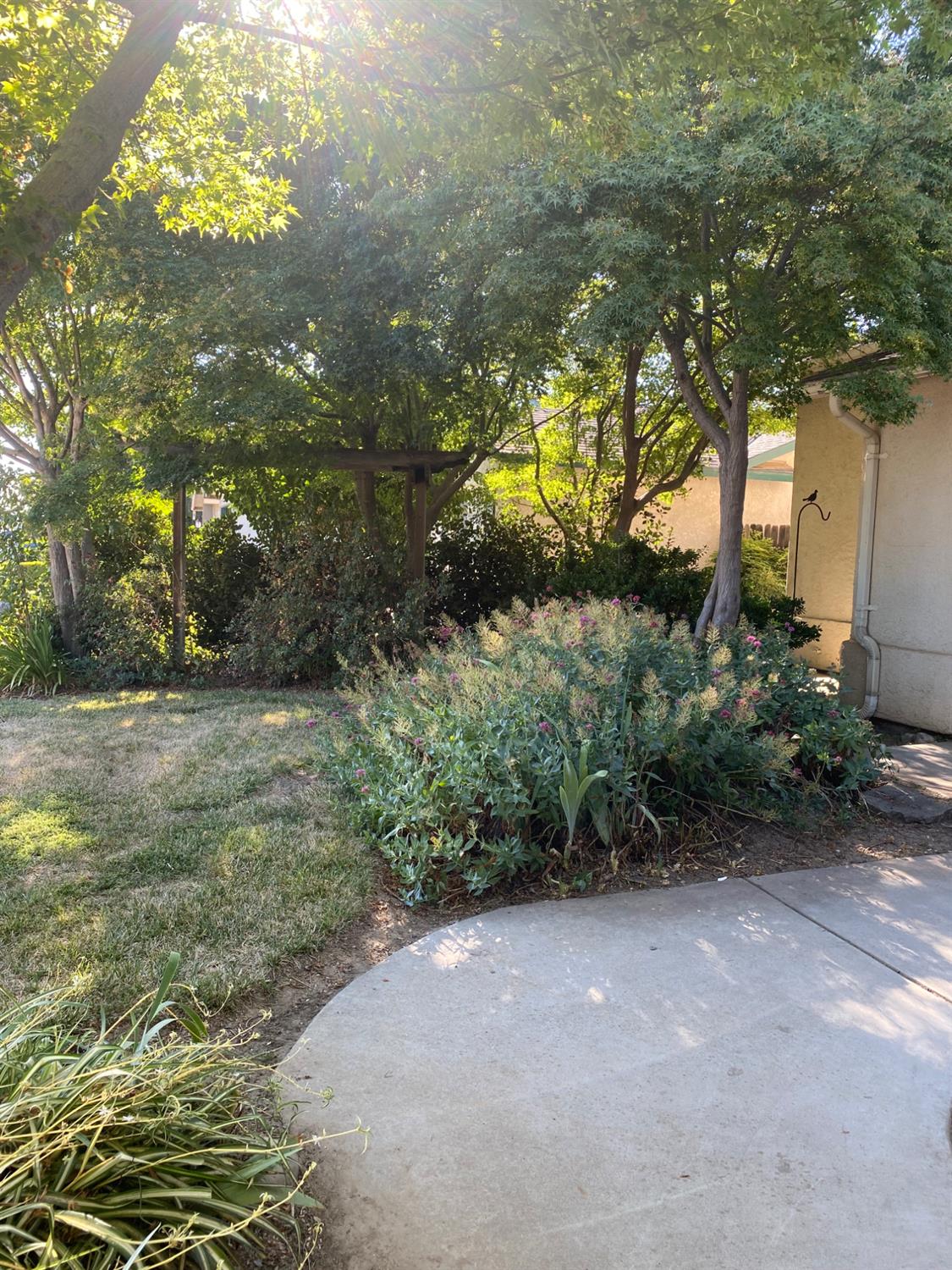 609 Merlot Ave, Madera, CA 93637