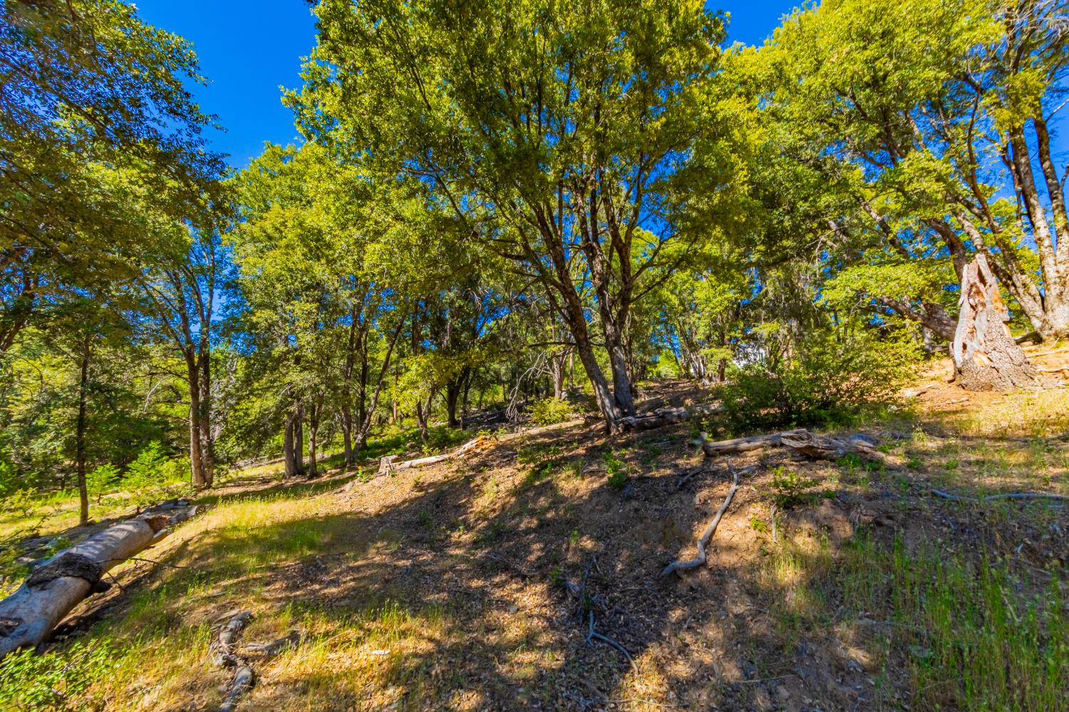 5 AC 3 Springs Rd, Oakhurst, CA 93644
