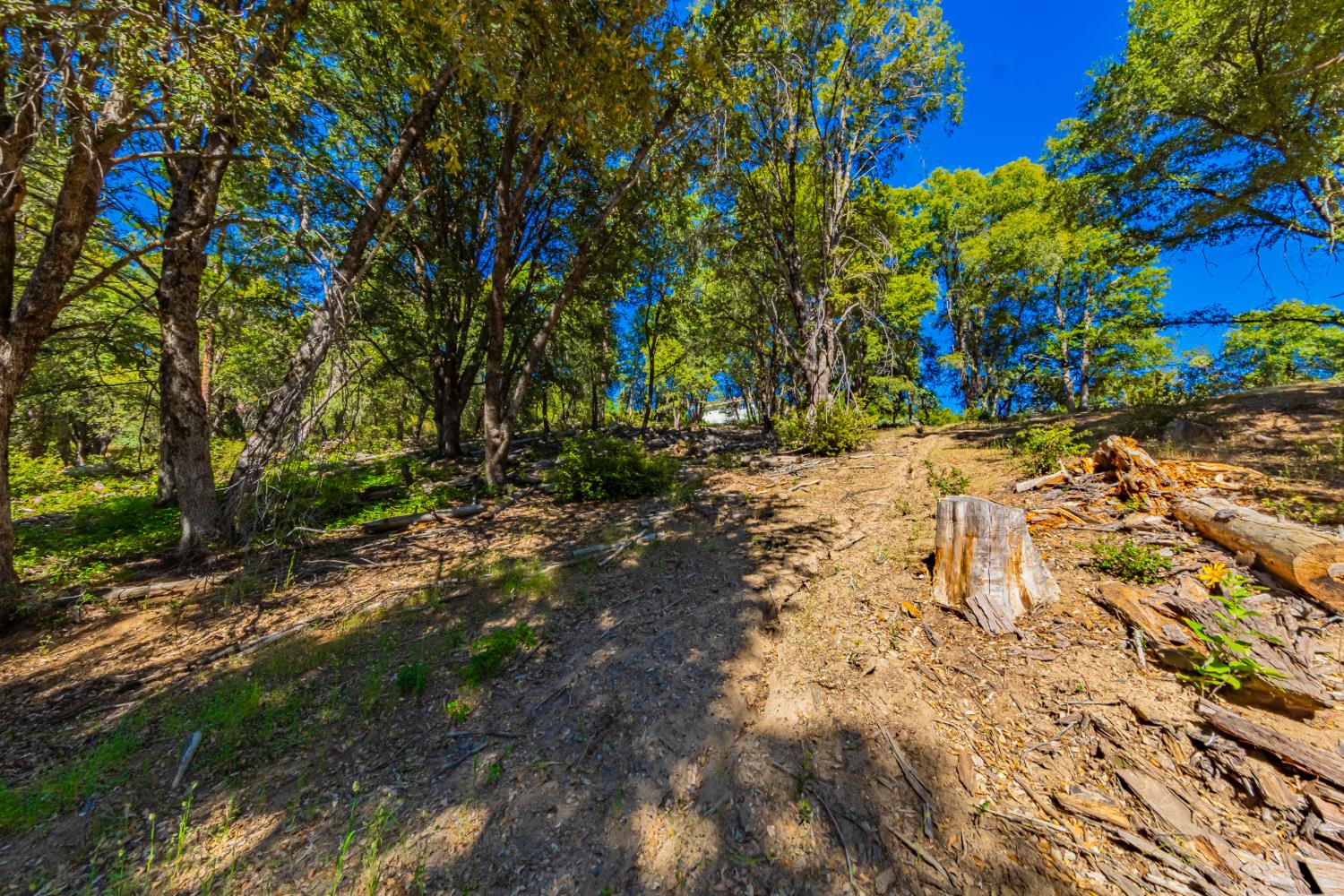 5 AC 3 Springs Rd, Oakhurst, CA 93644