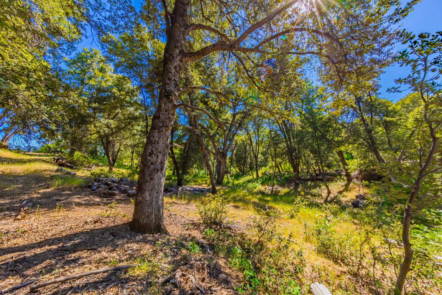 5 AC 3 Springs Rd, Oakhurst, CA 93644