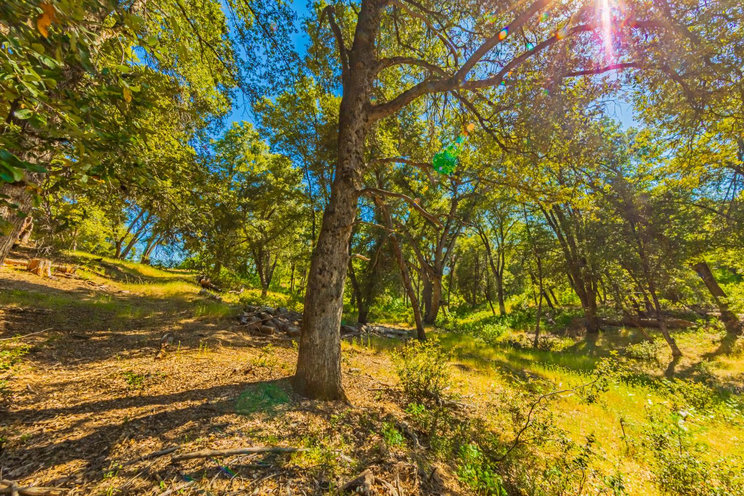 5 AC 3 Springs Rd, Oakhurst, CA 93644