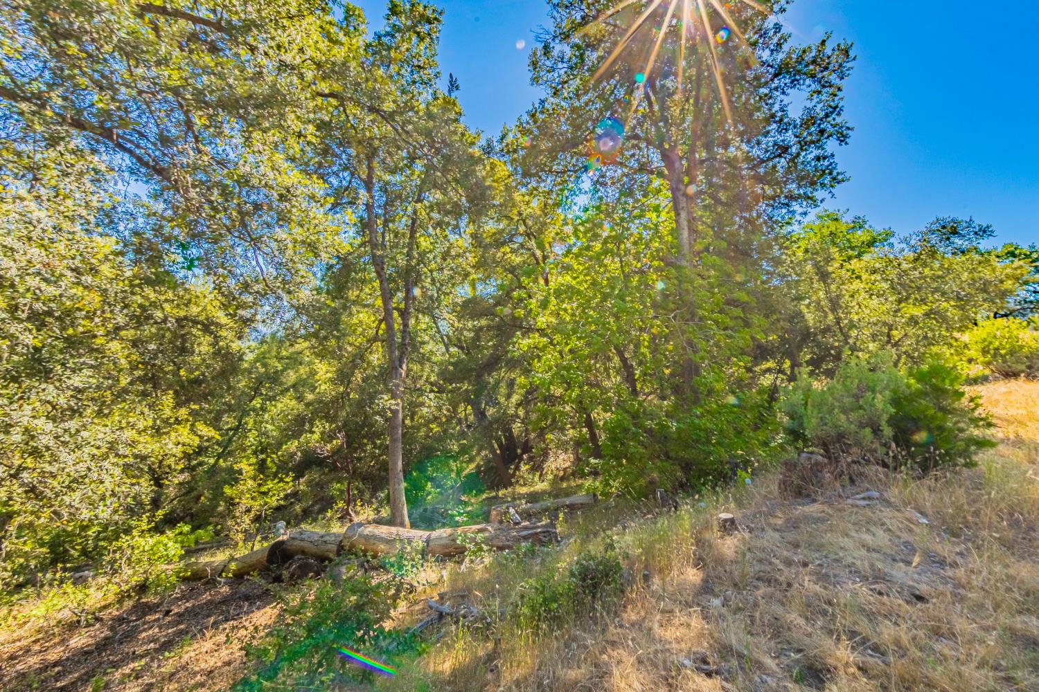 5 AC 3 Springs Rd, Oakhurst, CA 93644