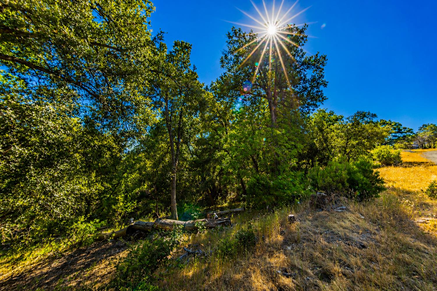 5 AC 3 Springs Rd, Oakhurst, CA 93644