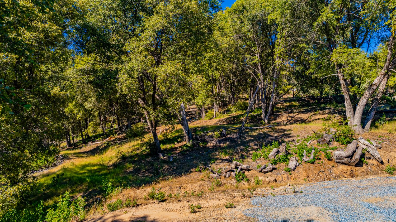 5 AC 3 Springs Rd, Oakhurst, CA 93644
