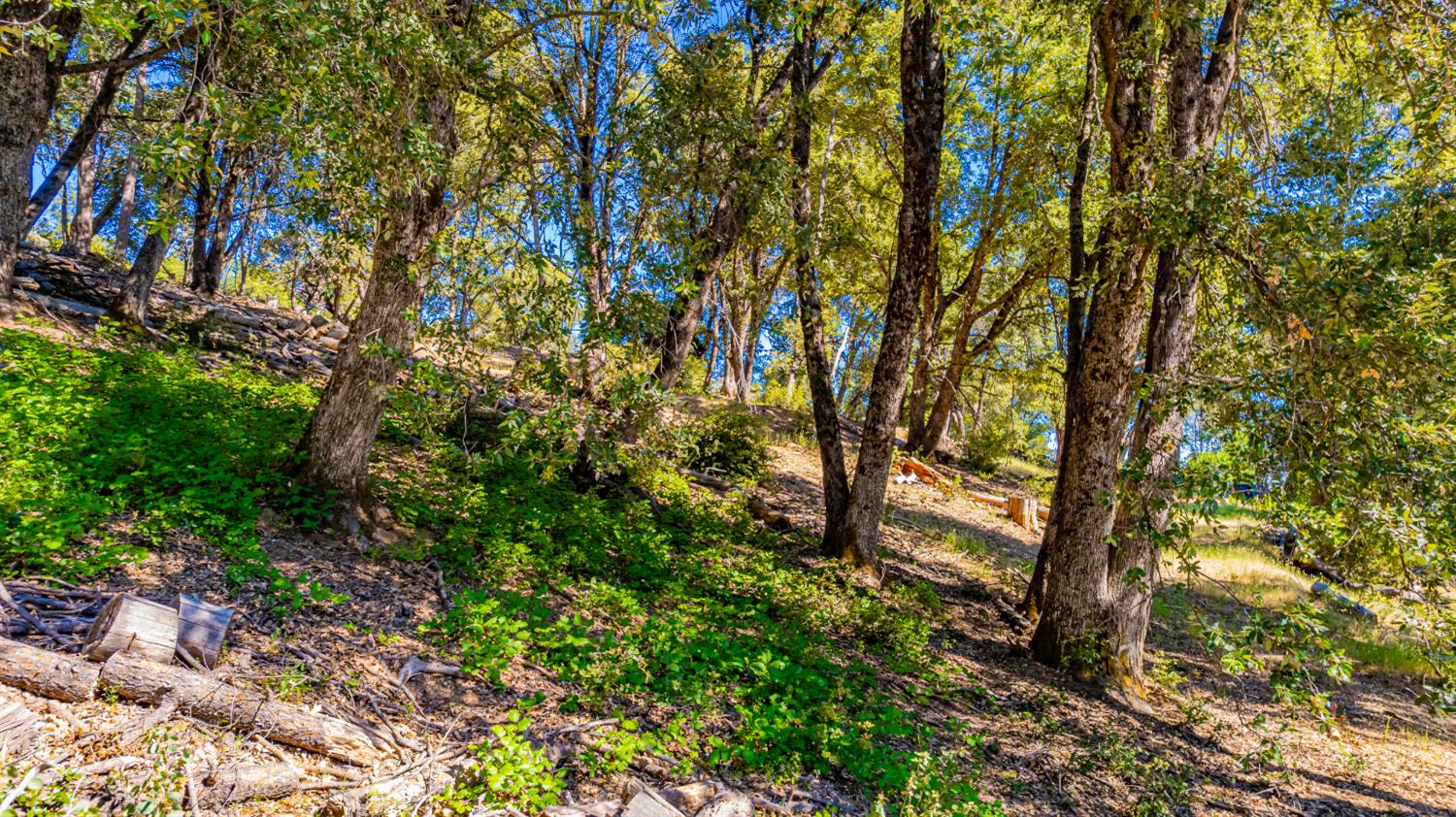 5 AC 3 Springs Rd, Oakhurst, CA 93644