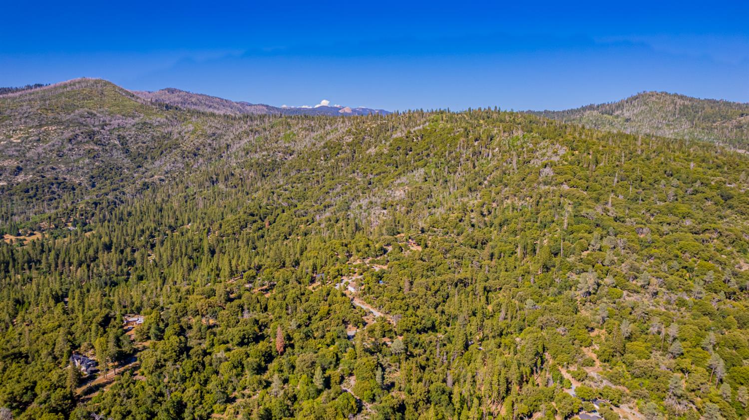 5 AC 3 Springs Rd, Oakhurst, CA 93644