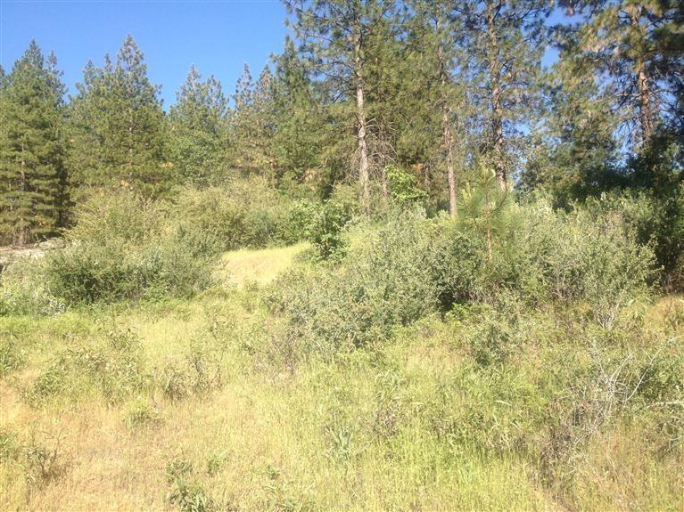 0 0 E Trimmer Springs Rd, Sanger, CA 93657