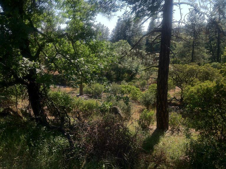 0 0 E Trimmer Springs Rd, Sanger, CA 93657