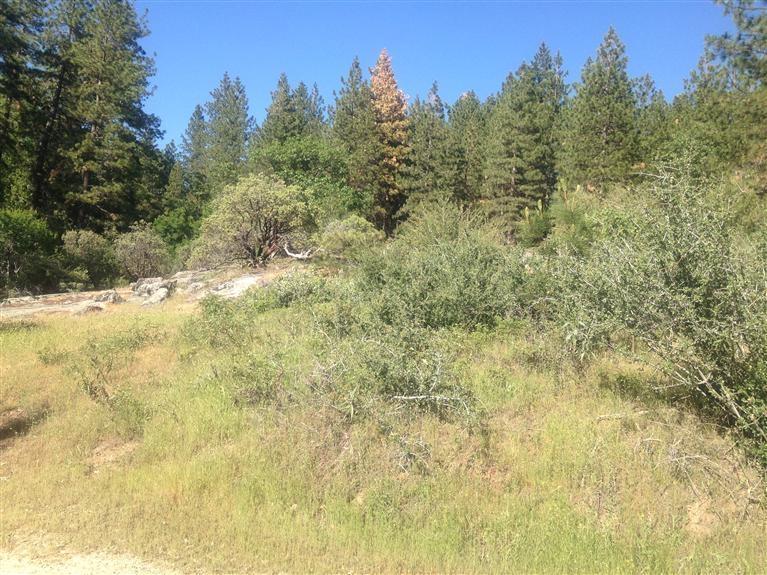 0 0 E Trimmer Springs Rd, Sanger, CA 93657
