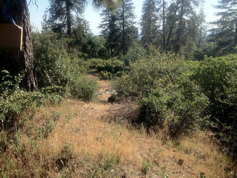 0 0 E Trimmer Springs Rd, Sanger, CA 93657