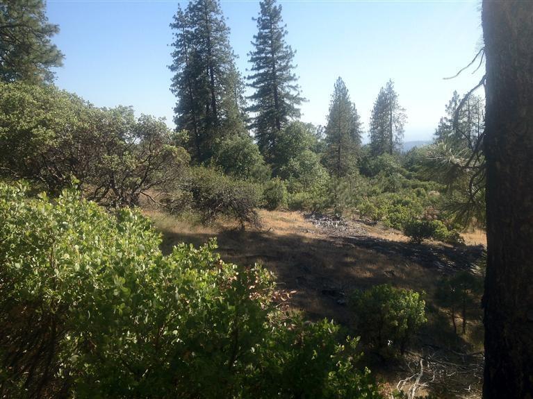 0 0 E Trimmer Springs Rd, Sanger, CA 93657