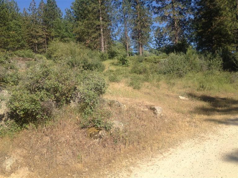 0 0 E Trimmer Springs Rd, Sanger, CA 93657