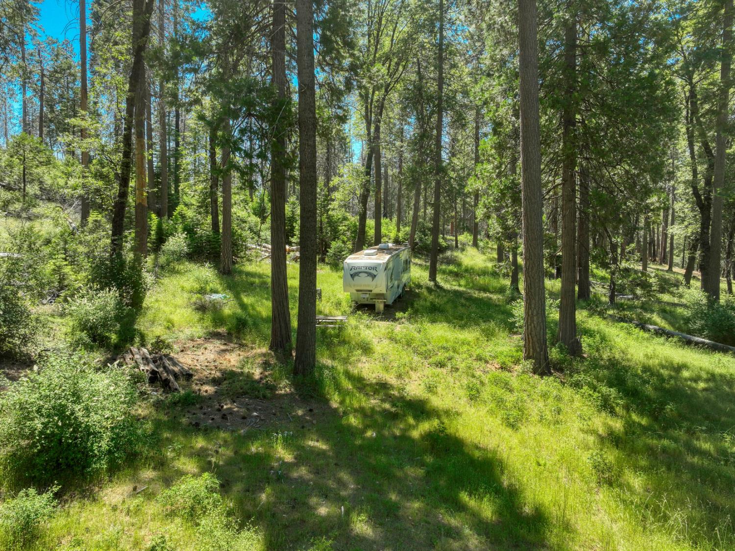 12345 Lower Cressman Rd #CA, Shaver Lake, CA 93664