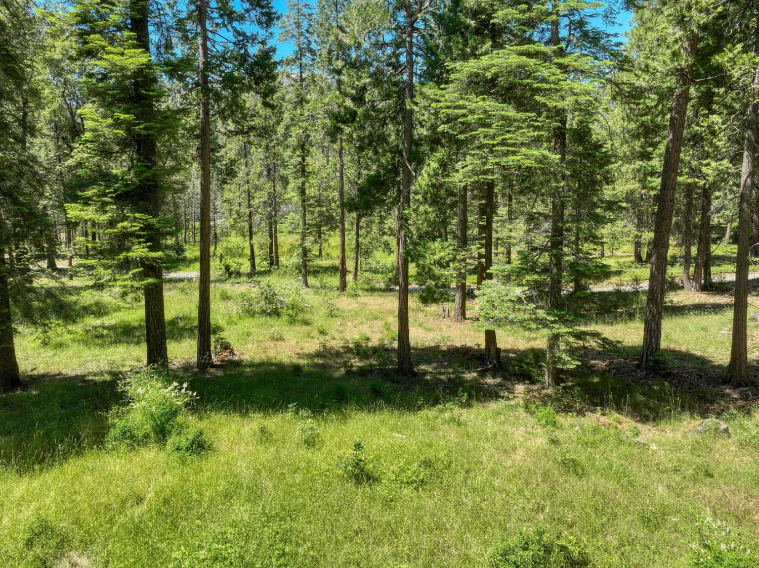 12345 Lower Cressman Rd #CA, Shaver Lake, CA 93664