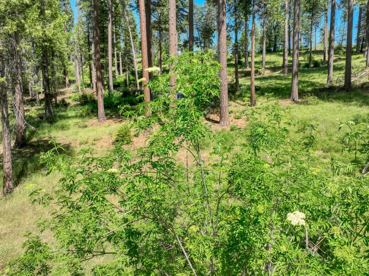 12345 Lower Cressman Rd #CA, Shaver Lake, CA 93664