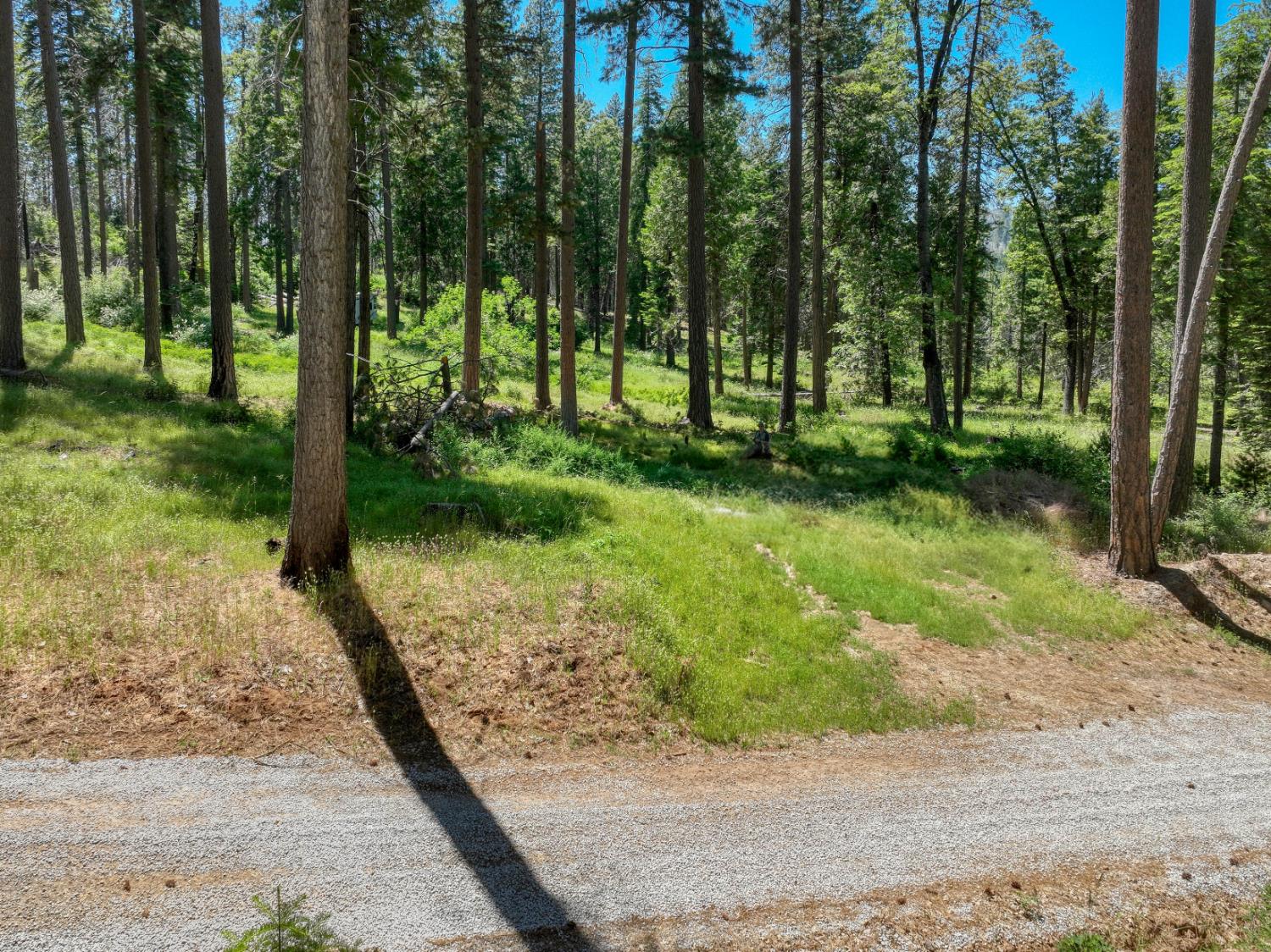 12345 Lower Cressman Rd #CA, Shaver Lake, CA 93664
