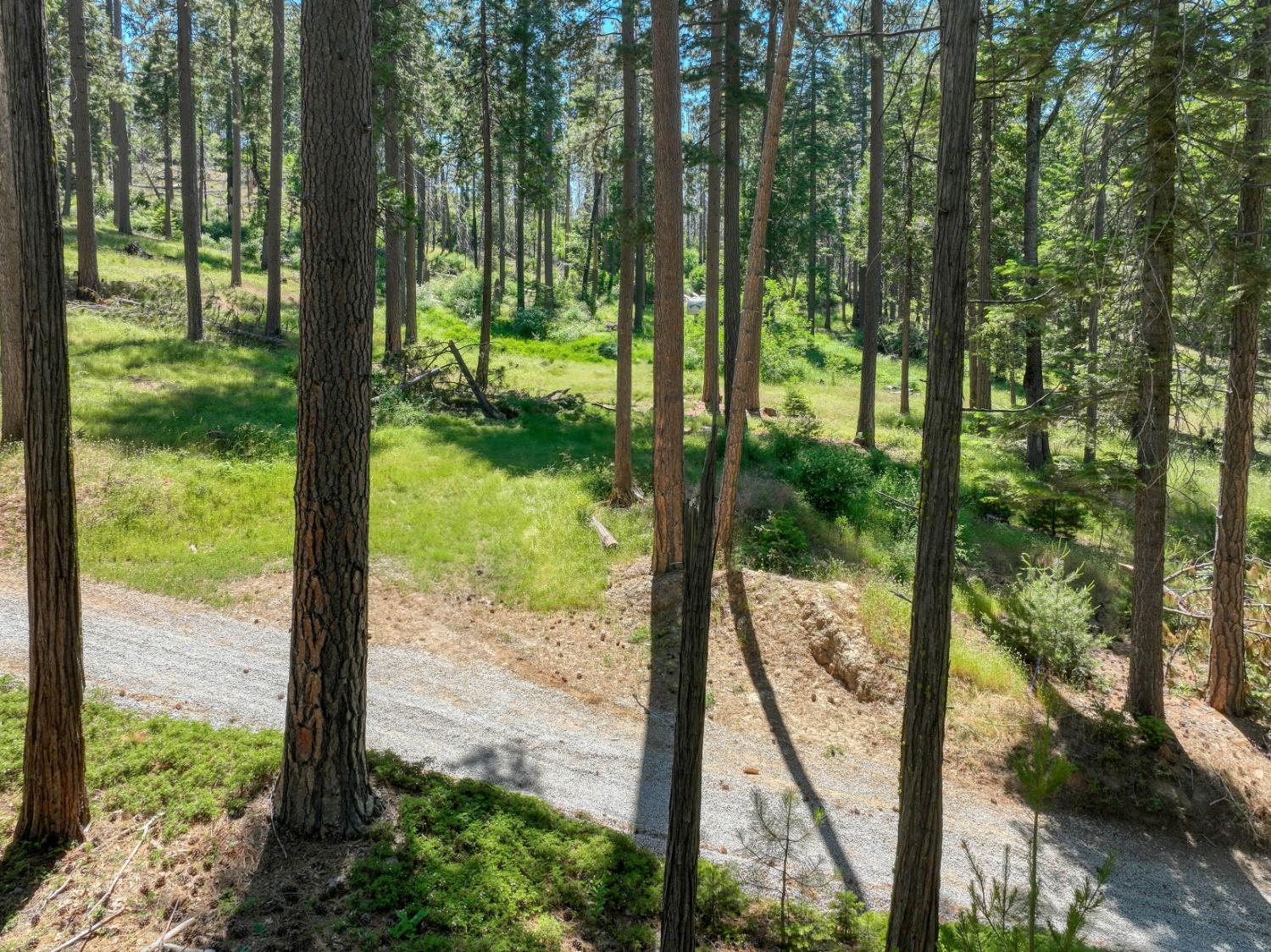 12345 Lower Cressman Rd #CA, Shaver Lake, CA 93664