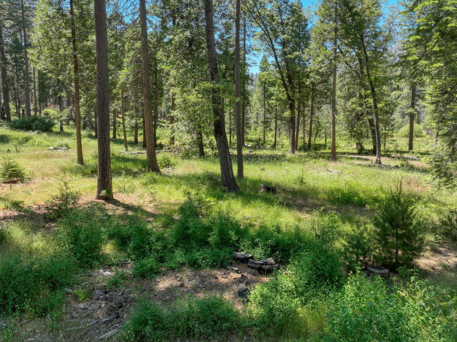 12345 Lower Cressman Rd #CA, Shaver Lake, CA 93664