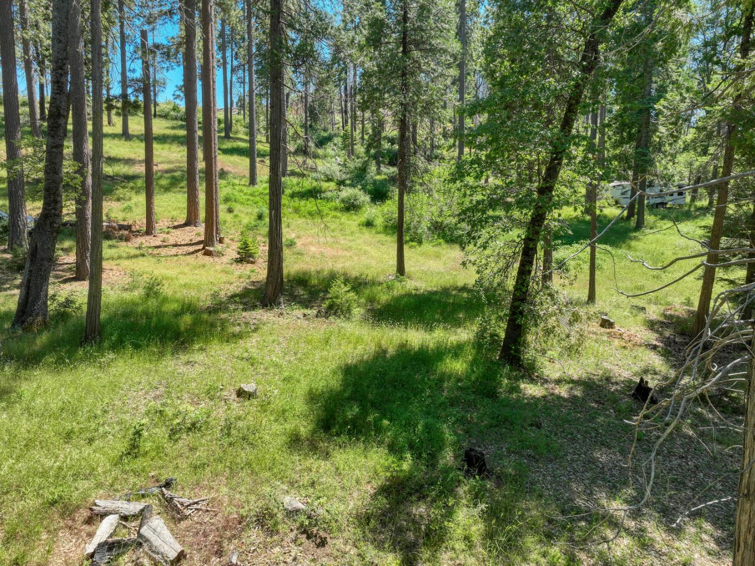 12345 Lower Cressman Rd #CA, Shaver Lake, CA 93664
