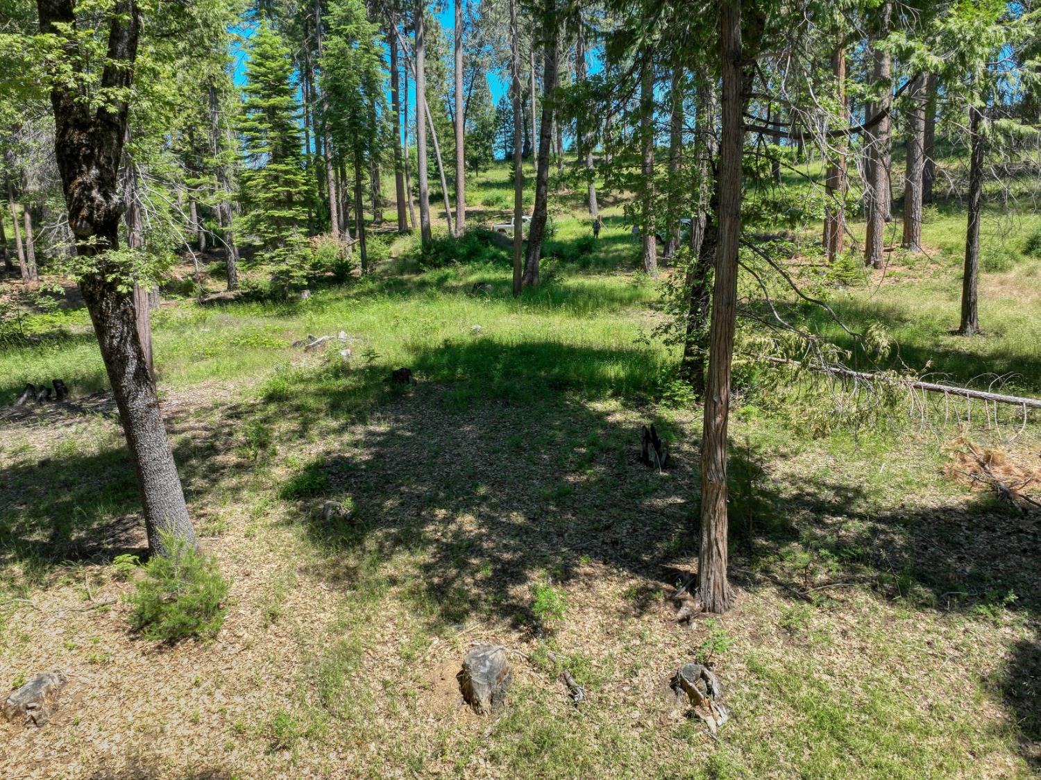 12345 Lower Cressman Rd #CA, Shaver Lake, CA 93664