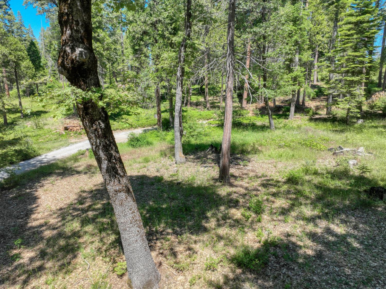 12345 Lower Cressman Rd #CA, Shaver Lake, CA 93664
