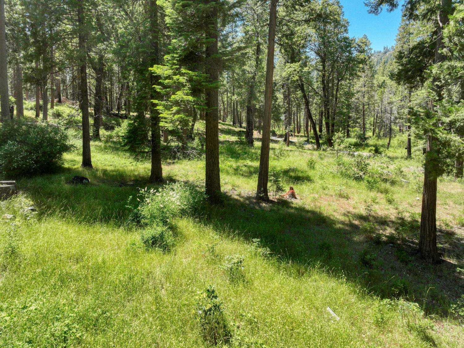 12345 Lower Cressman Rd #CA, Shaver Lake, CA 93664