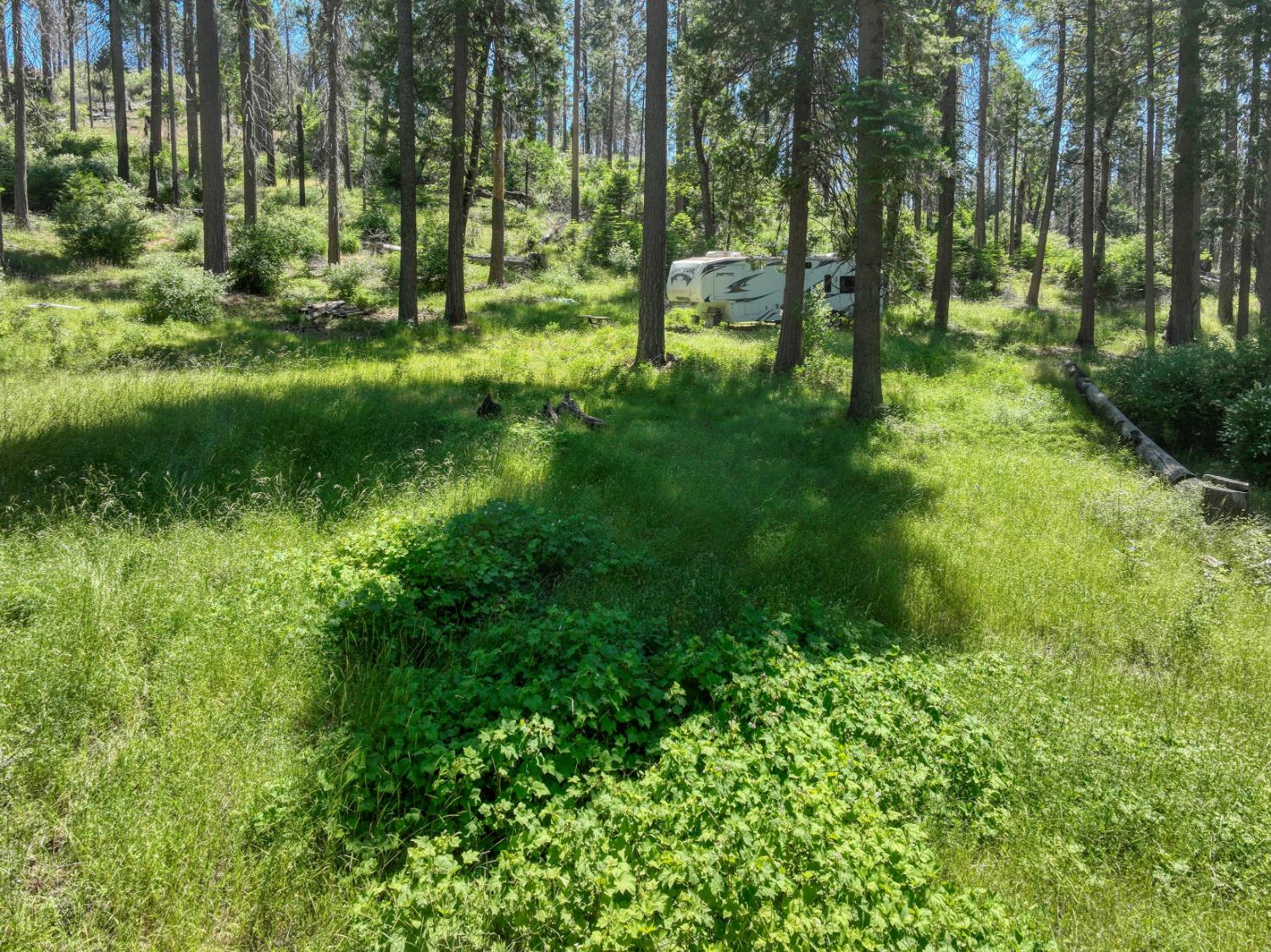 12345 Lower Cressman Rd #CA, Shaver Lake, CA 93664