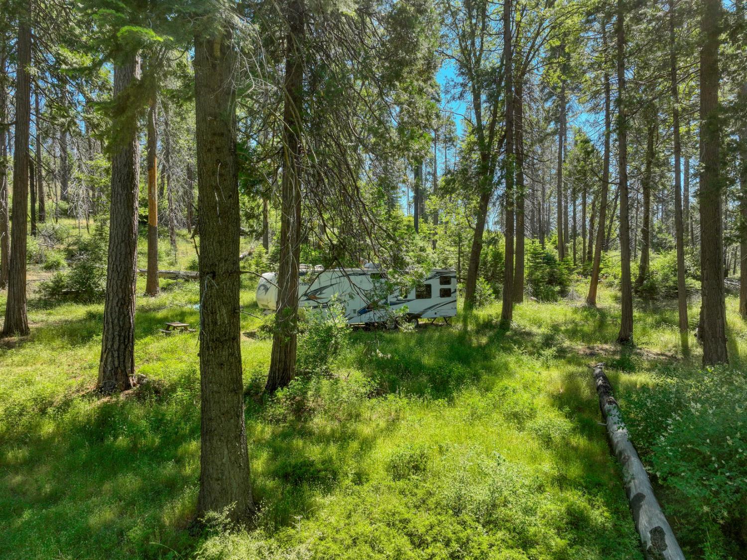 12345 Lower Cressman Rd #CA, Shaver Lake, CA 93664