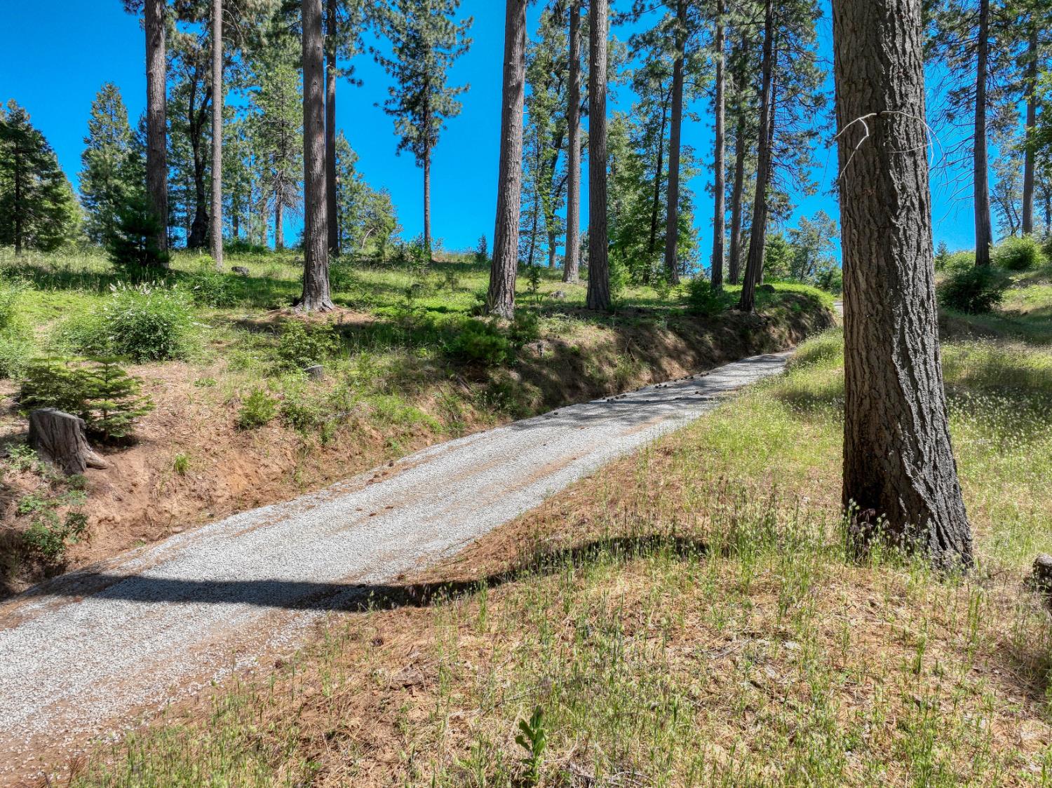 12345 Lower Cressman Rd #CA, Shaver Lake, CA 93664