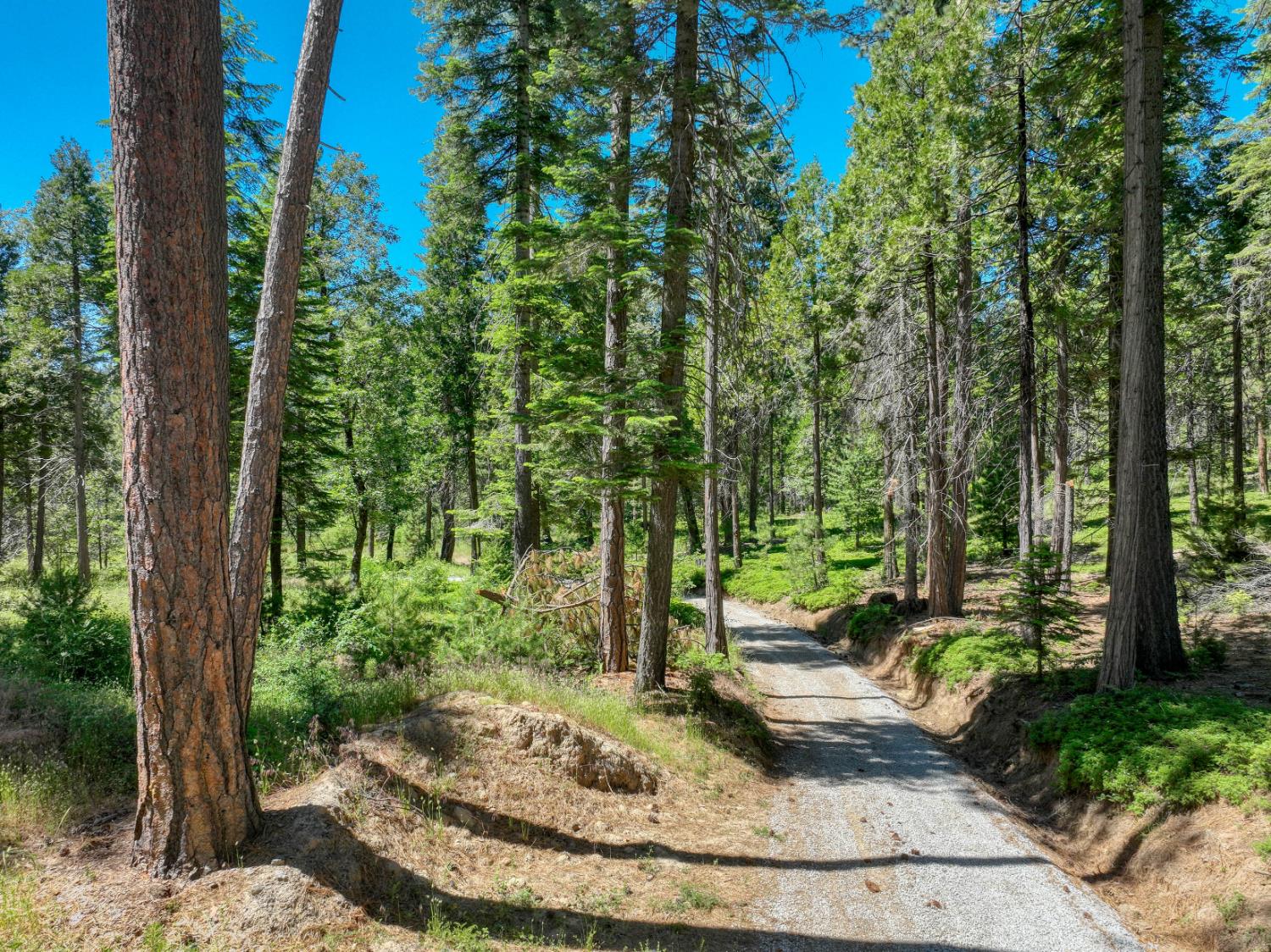 12345 Lower Cressman Rd #CA, Shaver Lake, CA 93664