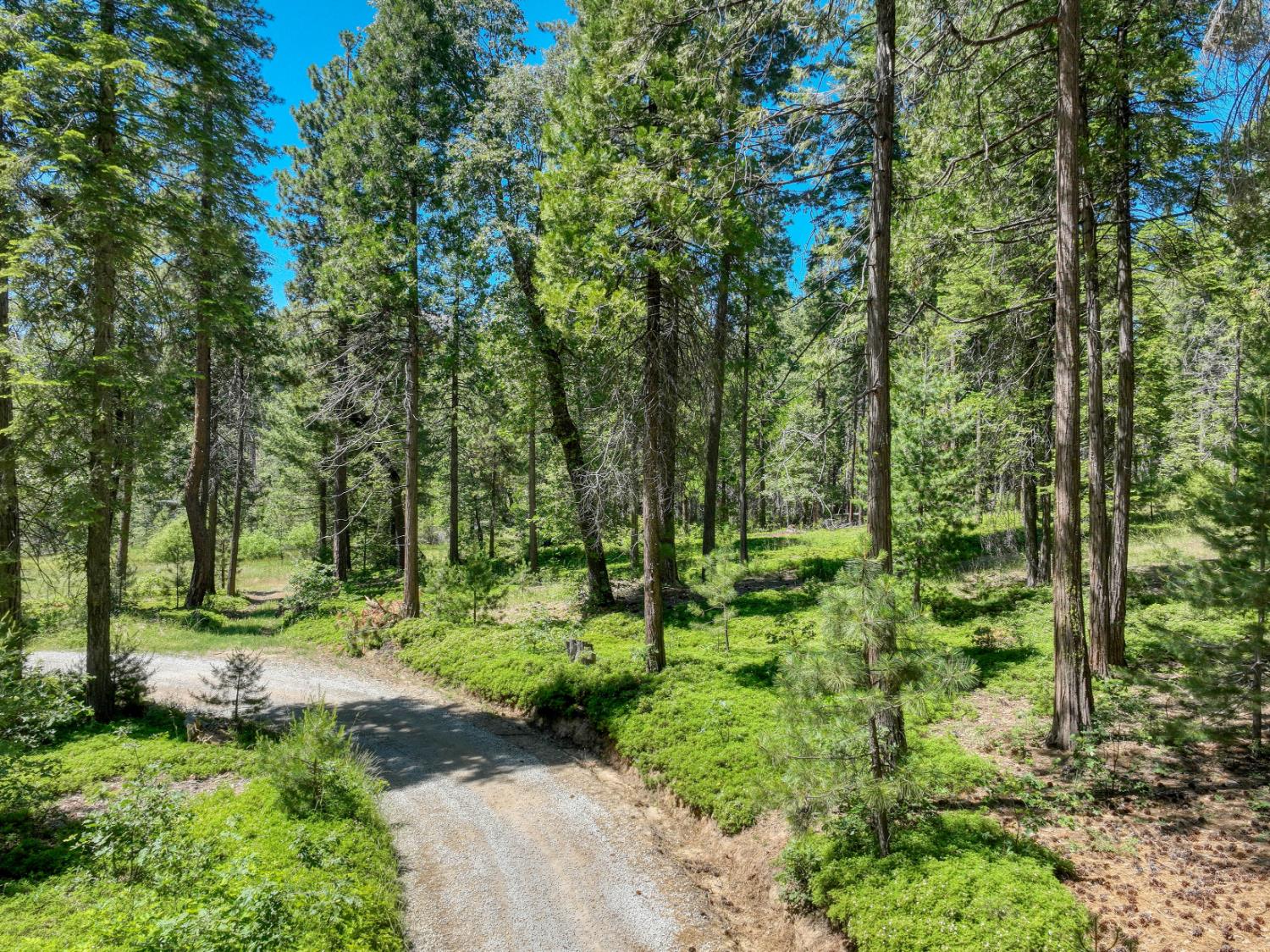 12345 Lower Cressman Rd #CA, Shaver Lake, CA 93664