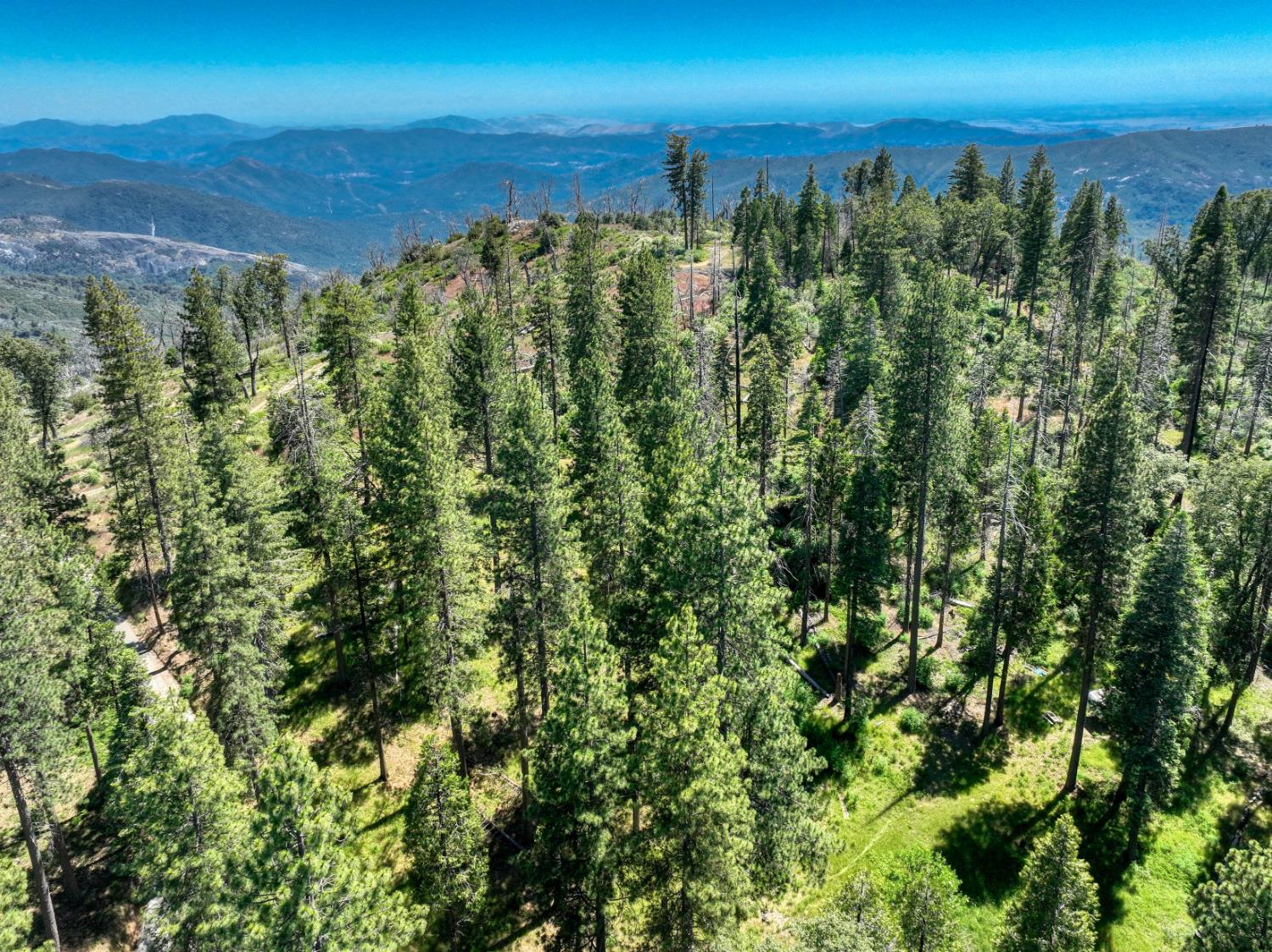 12345 Lower Cressman Rd #CA, Shaver Lake, CA 93664