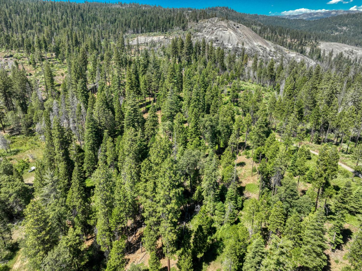 12345 Lower Cressman Rd #CA, Shaver Lake, CA 93664