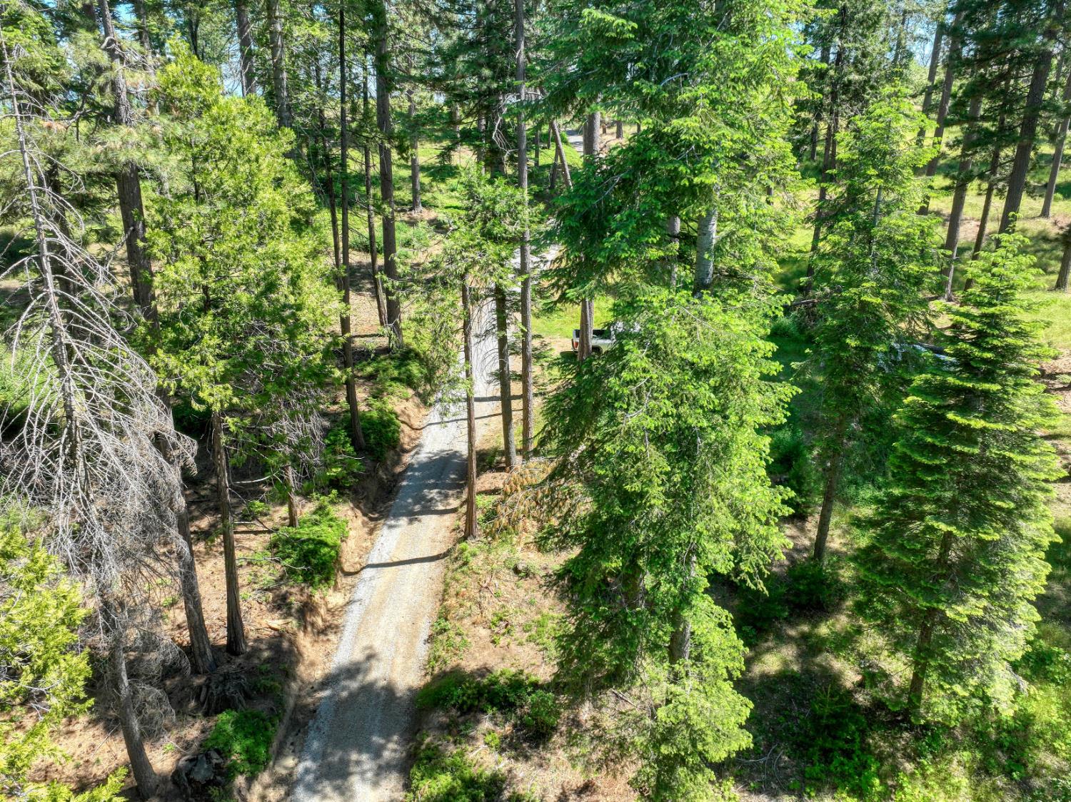 12345 Lower Cressman Rd #CA, Shaver Lake, CA 93664
