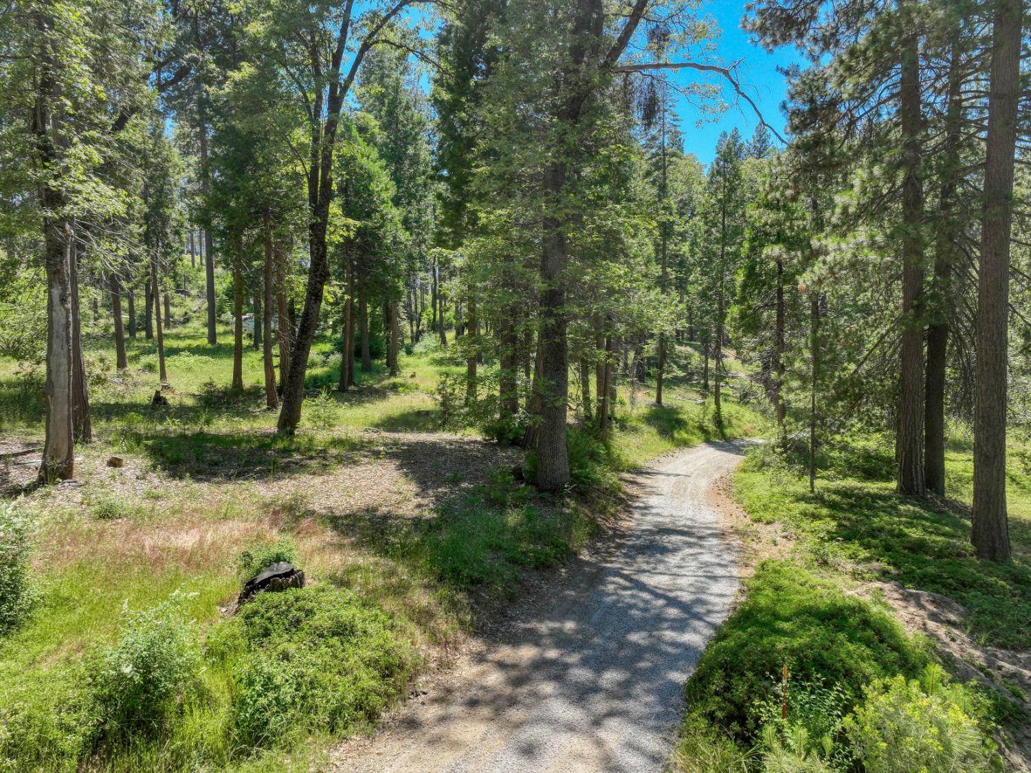12345 Lower Cressman Rd #CA, Shaver Lake, CA 93664