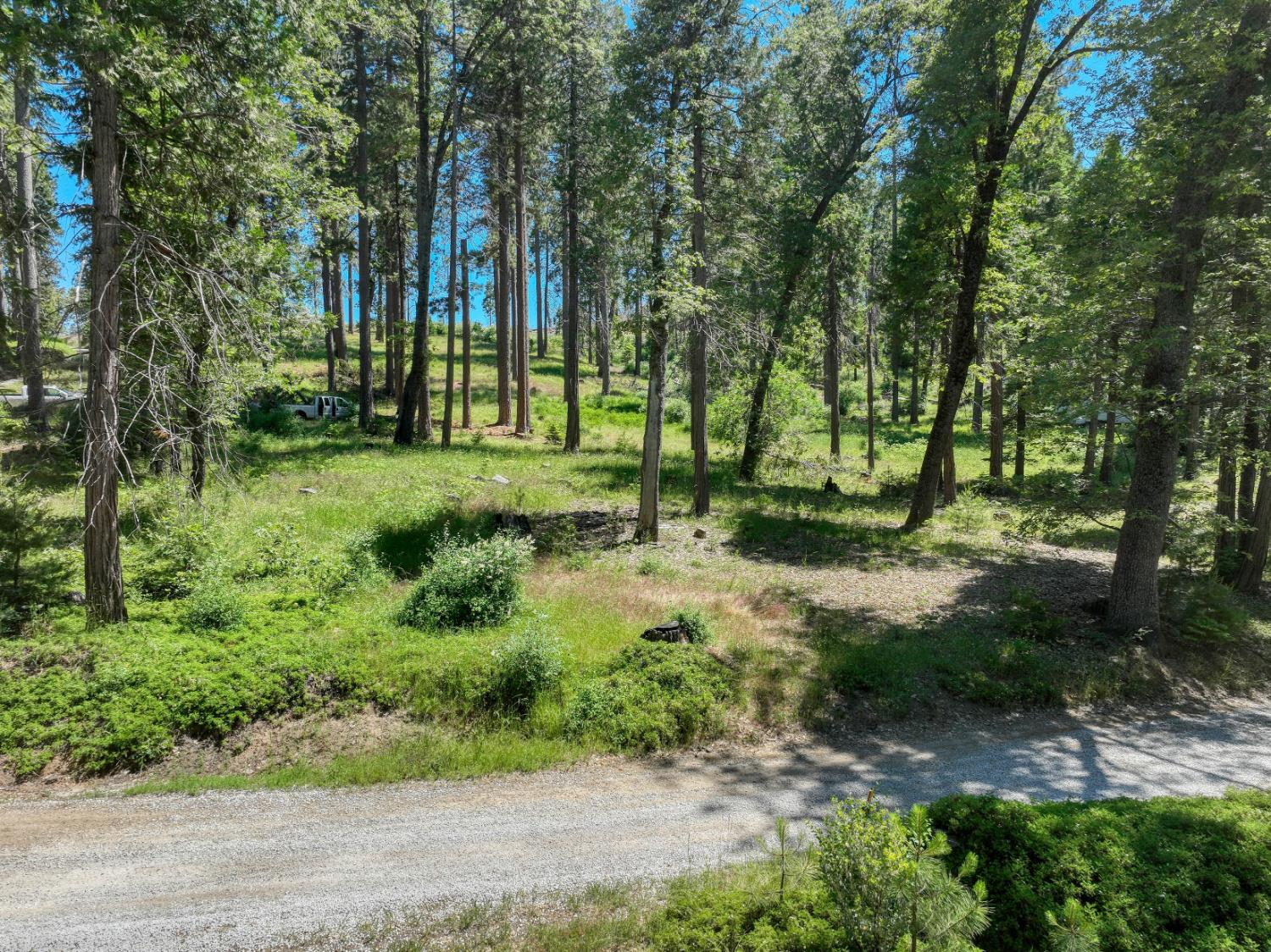 12345 Lower Cressman Rd #CA, Shaver Lake, CA 93664