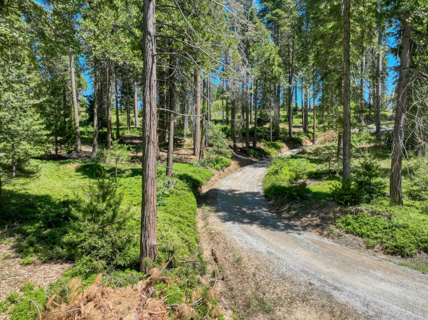 12345 Lower Cressman Rd #CA, Shaver Lake, CA 93664