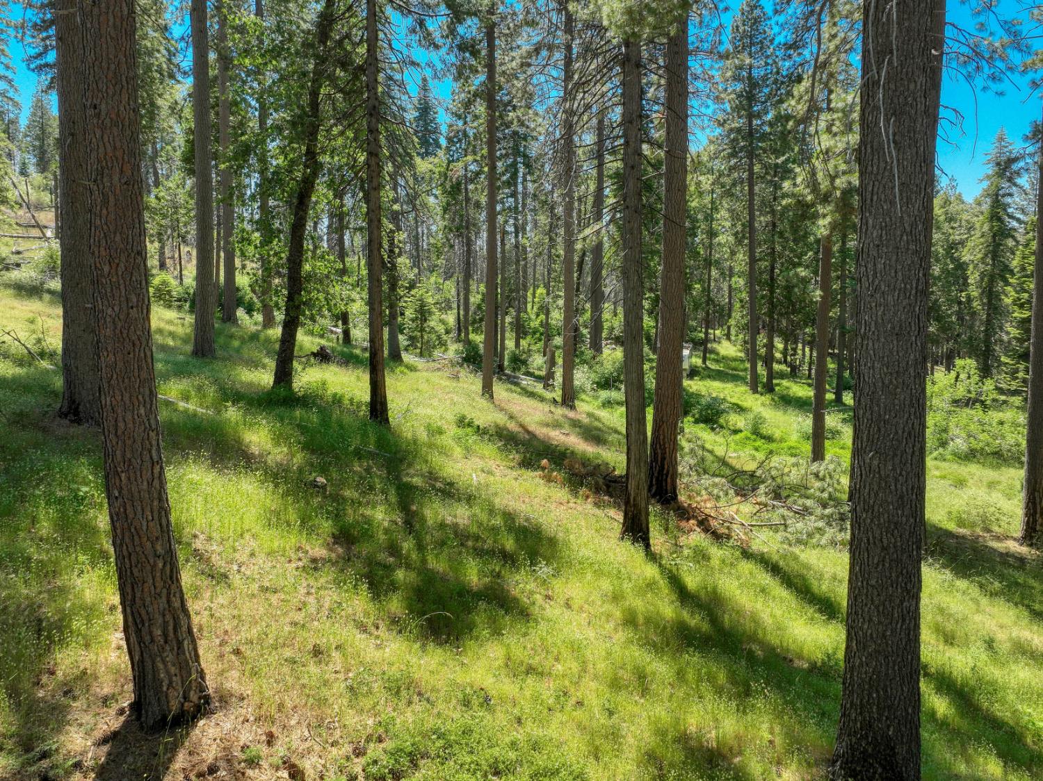 12345 Lower Cressman Rd #CA, Shaver Lake, CA 93664
