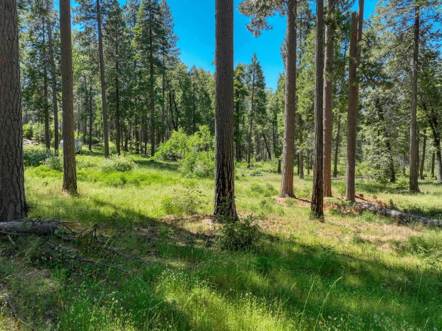 12345 Lower Cressman Rd #CA, Shaver Lake, CA 93664