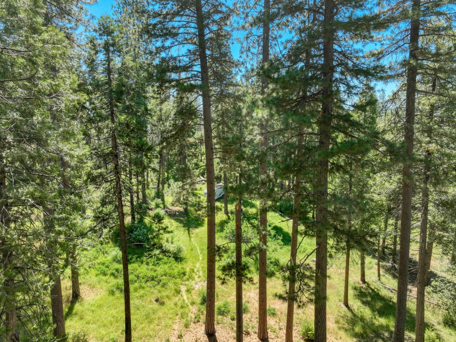 12345 Lower Cressman Rd #CA, Shaver Lake, CA 93664