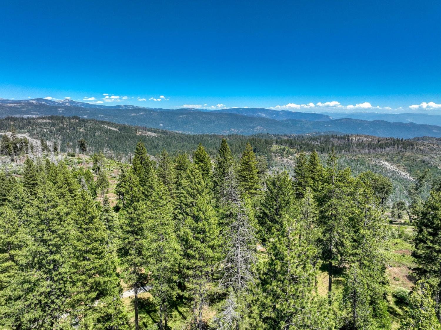 12345 Lower Cressman Rd #CA, Shaver Lake, CA 93664