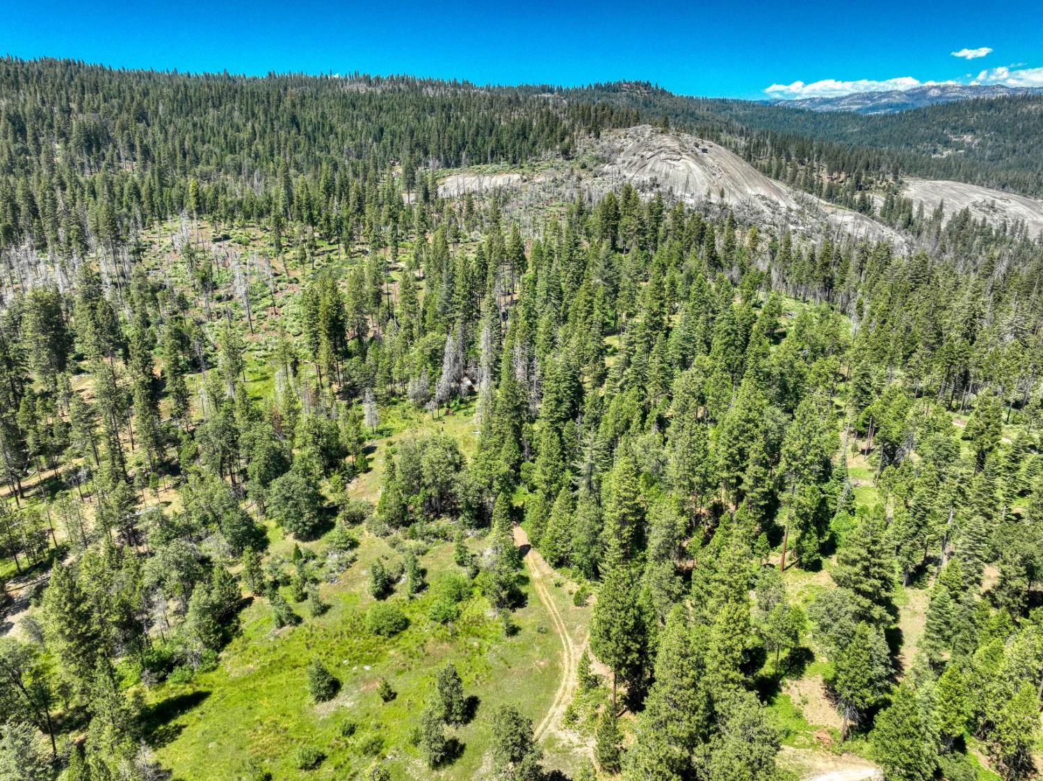 12345 Lower Cressman Rd #CA, Shaver Lake, CA 93664