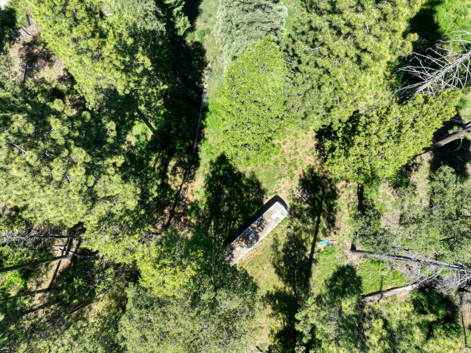 12345 Lower Cressman Rd #CA, Shaver Lake, CA 93664