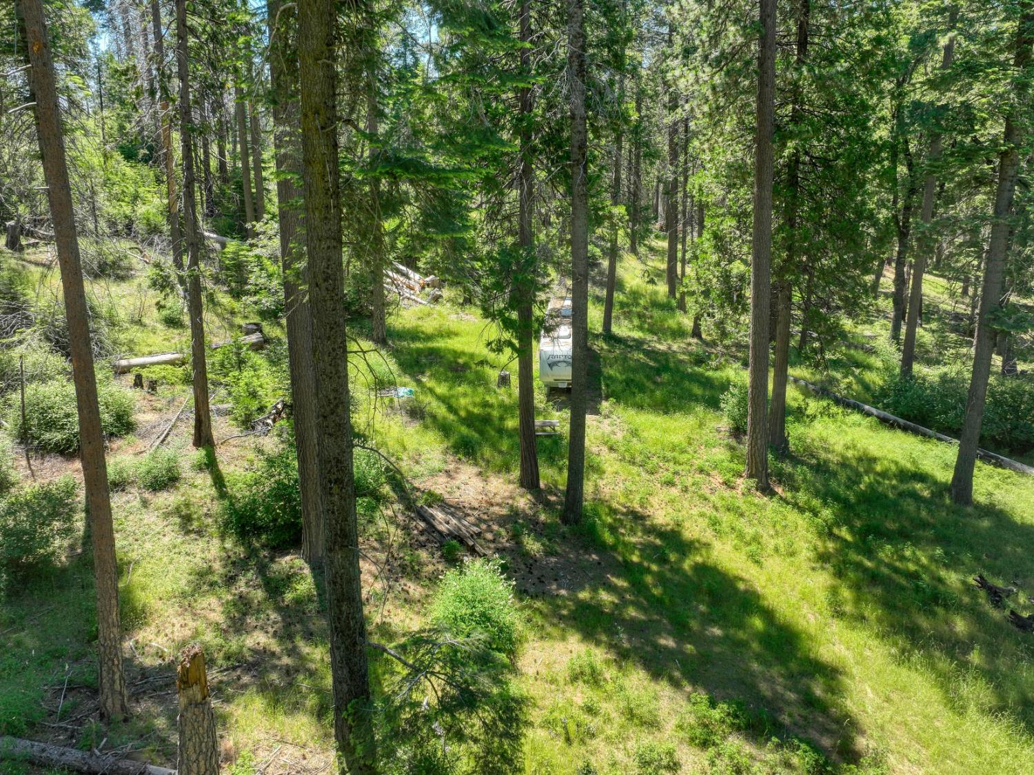 12345 Lower Cressman Rd #CA, Shaver Lake, CA 93664
