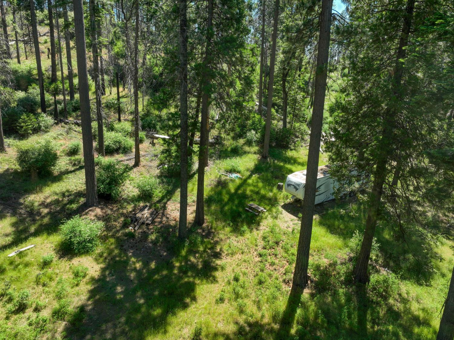 12345 Lower Cressman Rd #CA, Shaver Lake, CA 93664