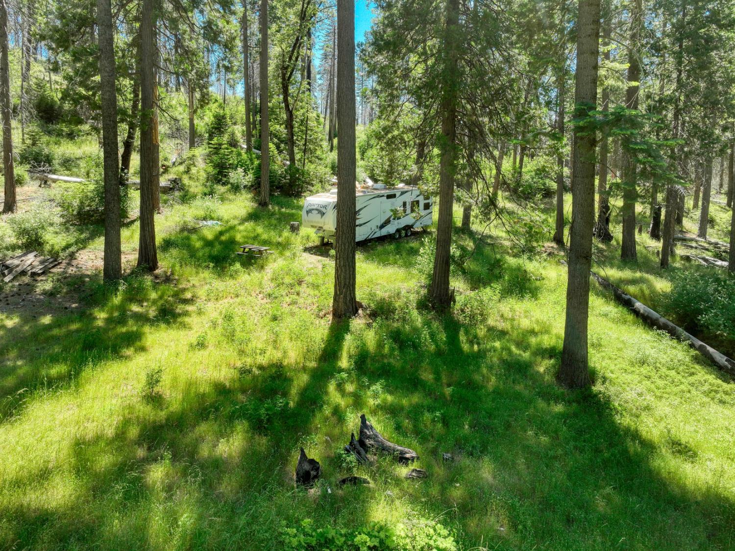 12345 Lower Cressman Rd #CA, Shaver Lake, CA 93664