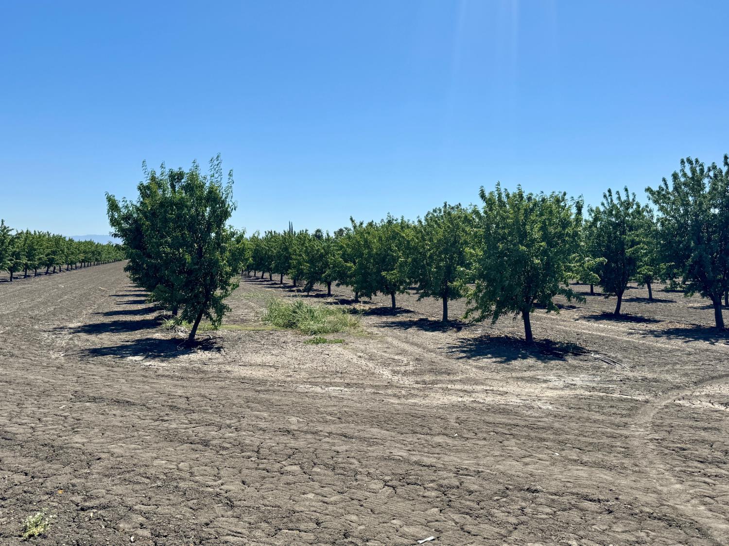 1 Placer Ave, San Joaquin, CA 93660